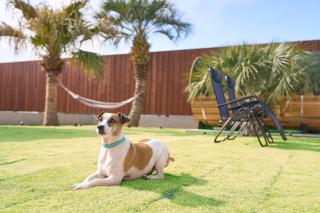 VILLA SENSE kujukuri - 7