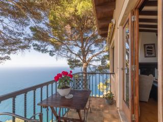 Son Galceran in Valldemossa with Private Pool - Valldemossa - 9