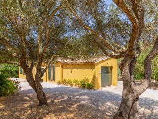 Country house with pool in Manacor - Manacor - 5