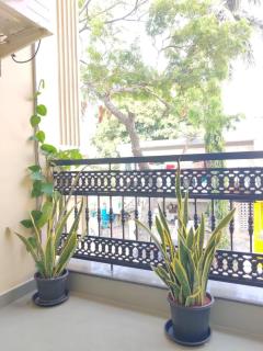 Green Magic 3BHK Besant Nagar - 4