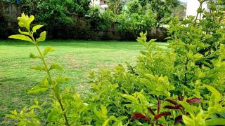 Hotel Tapovan Retreat - Rishīkesh - 3