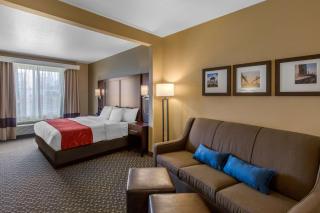 Comfort Suites - Seaford - 3