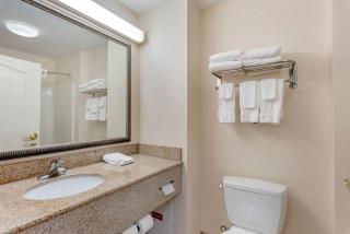 Comfort Inn & Suites - Dover - 2