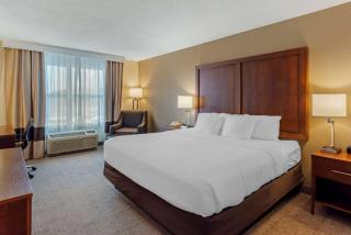 Comfort Inn & Suites - Dover - 1