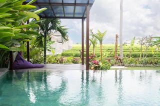 PUSPA guest house - Canggu - 7
