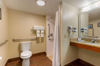 Comfort Inn & Suites - Milford - 0