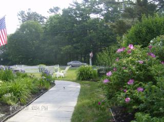 Holiday Guest House Bed & Breakfast - Wells - 7