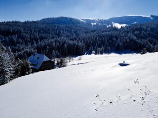 Rinken9 - Hinterzarten - 9