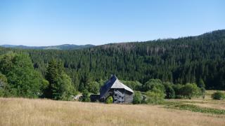 Rinken9 - Hinterzarten - 8
