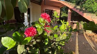 Sigiri Fortress View lodge - Sigiriya - 4