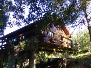 Cabana de Santo António - Vila Nova de Cerveira - 3