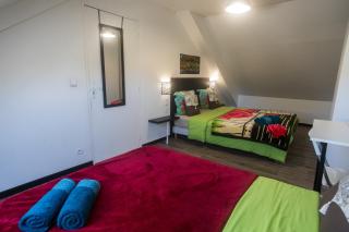 LES AGAPANTHES du 27 -ème - 2