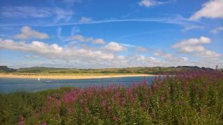 Bodmin Bungalow, sleeps 8, pool, gym, tennis, restaurant - Lanivet - 8