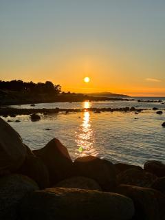 Cozy cottage by the sea, near Kullaberg - Farhult - 4