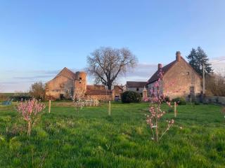 La Vigne et le Chardon - Barrais-Bussolles - 4