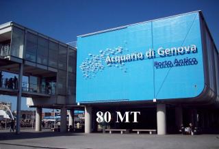 Acquario 2 - Genova - 8
