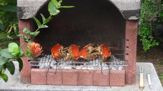 Holidays Guadeloupe - 8