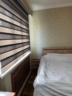 Stylish Apartment near Alay Bazaar - Tashkent - 4