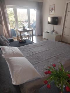 MR HOME APARTMENTS - Limba - Krakau - 1