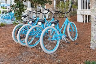 Sandpiper Cottage - Santa Rosa Beach - 5