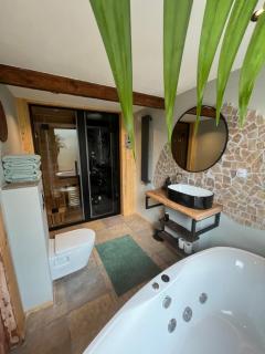 B&B Spoor 1 met jacuzzi & Spoor 2 met Wellness - - 8