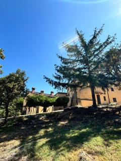 Chianti Classsico - Le Colonne - Borselli - 8