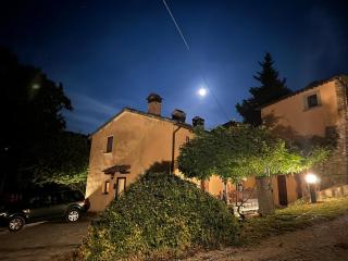 Chianti Classsico - Le Colonne - Borselli - 6