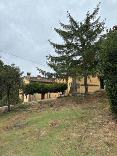 Chianti Classsico - Le Colonne - Borselli - 4
