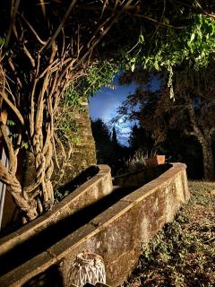 Chianti Classsico - Le Colonne - Borselli - 3