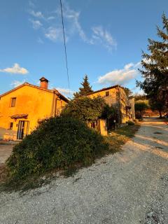 Chianti Classsico - Le Colonne - Borselli - 2