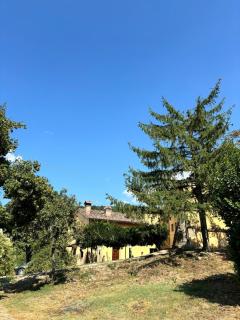 Chianti Classsico - Le Colonne - Borselli - 1