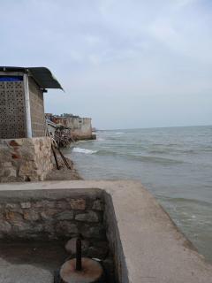 Ăn gì cũng được Homestay - 4