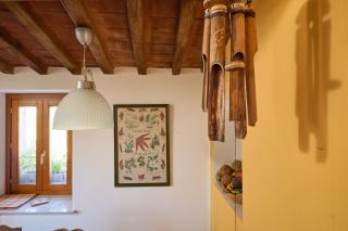 Casa de Alan - Campiglia Marittima - 2