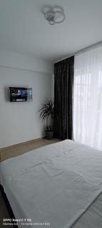 Andreea Apartament - Năvodari - 3