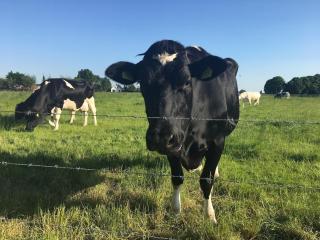 Sunny apartment on ground floor with small terrace - 6