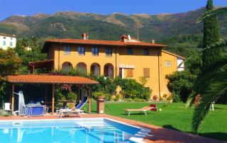 IL CARNASCIALE PIEVE di CAMAIORE -Bouganville- - Camaiore - 5