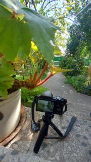 Eleven Guest House - 3