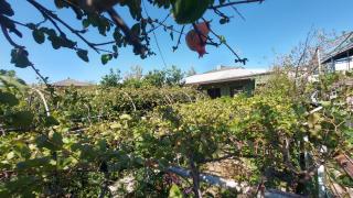 Eleven Guest House - 6