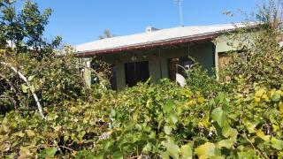 Eleven Guest House - Kutaissi - 4