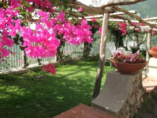 Bouganville Home - 2