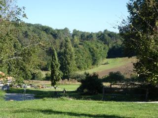 Hallyday at Bassinaud - 1