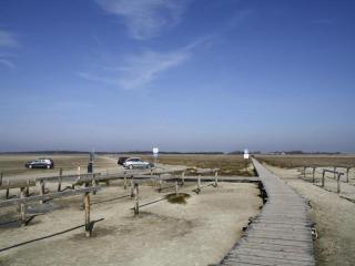 Apartment, St Peter - Ording - Sankt Peter-Ording - 4