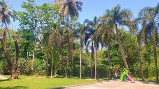 Golden Landmark Green Valley Beach Resort - 7