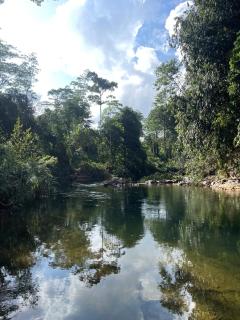 Moss Forest Cabin Wild Hikes &River Escapes with all meals - 7