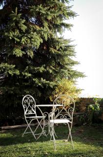 Schloss Kapfenstein - 2