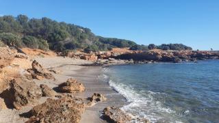 Natural paradise home - Oropesa del Mar - 4
