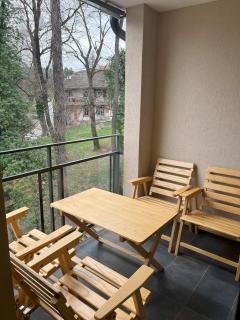 Apartman Centrum - Vrnjačka Banja - 8
