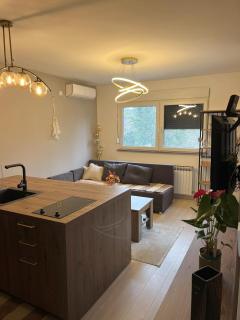 Apartman Centrum - Vrnjačka Banja - 6