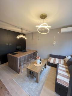 Apartman Centrum - Vrnjačka Banja - 4