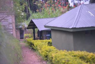 ruhija gorilla friends resort - - 9